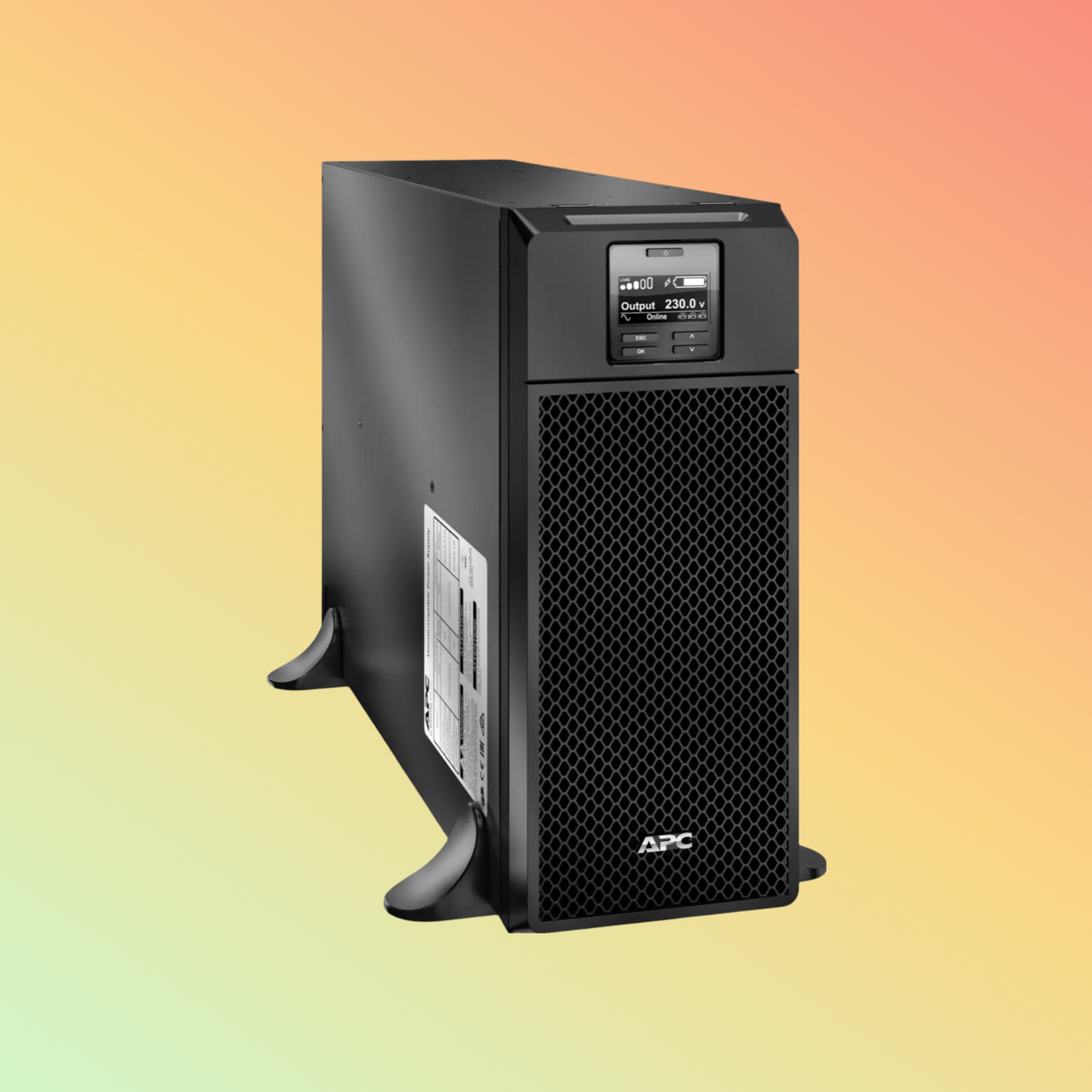 APC Smart SRT6KXLI UPS - 6000VA
