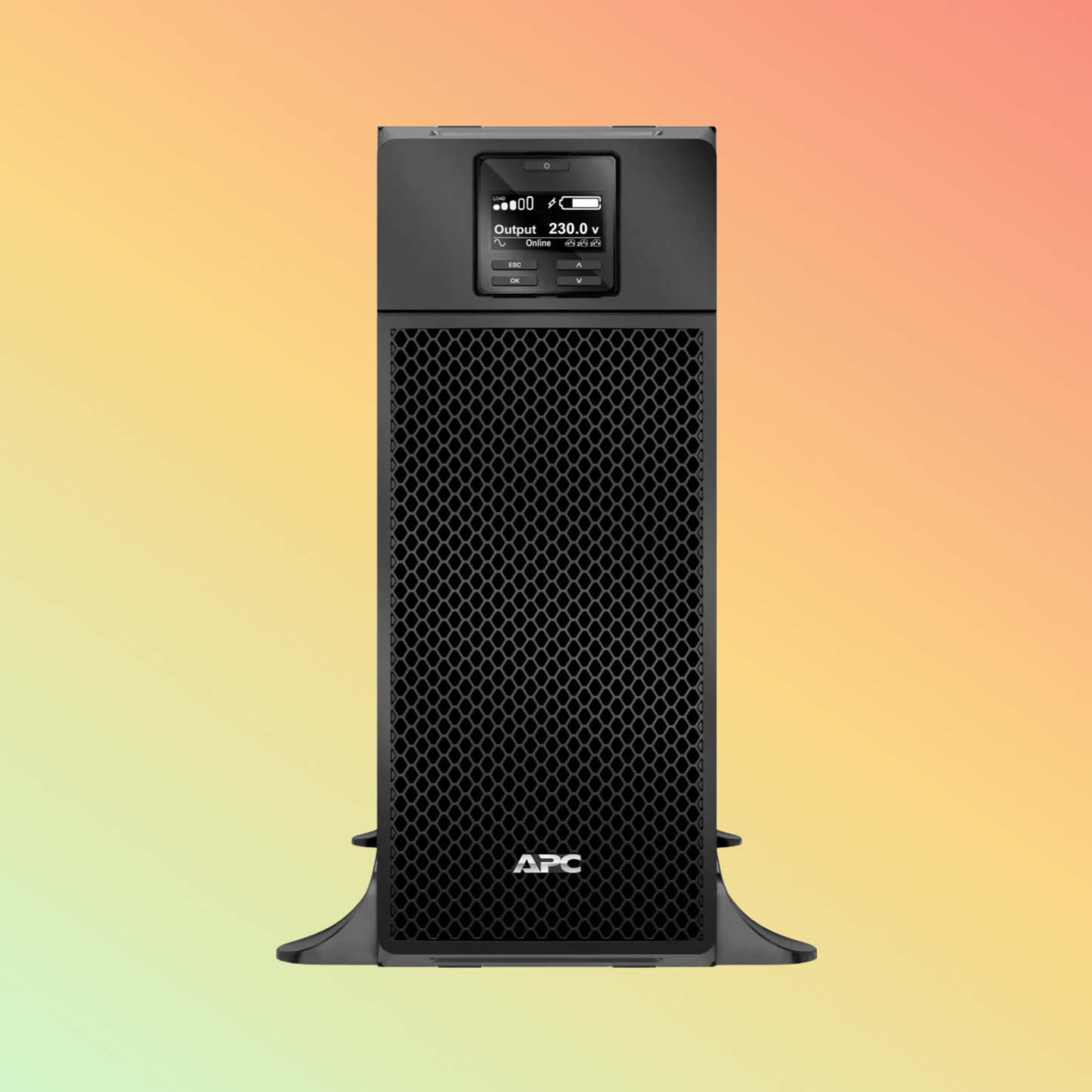 APC Smart SRT6KXLI UPS - 6000VA