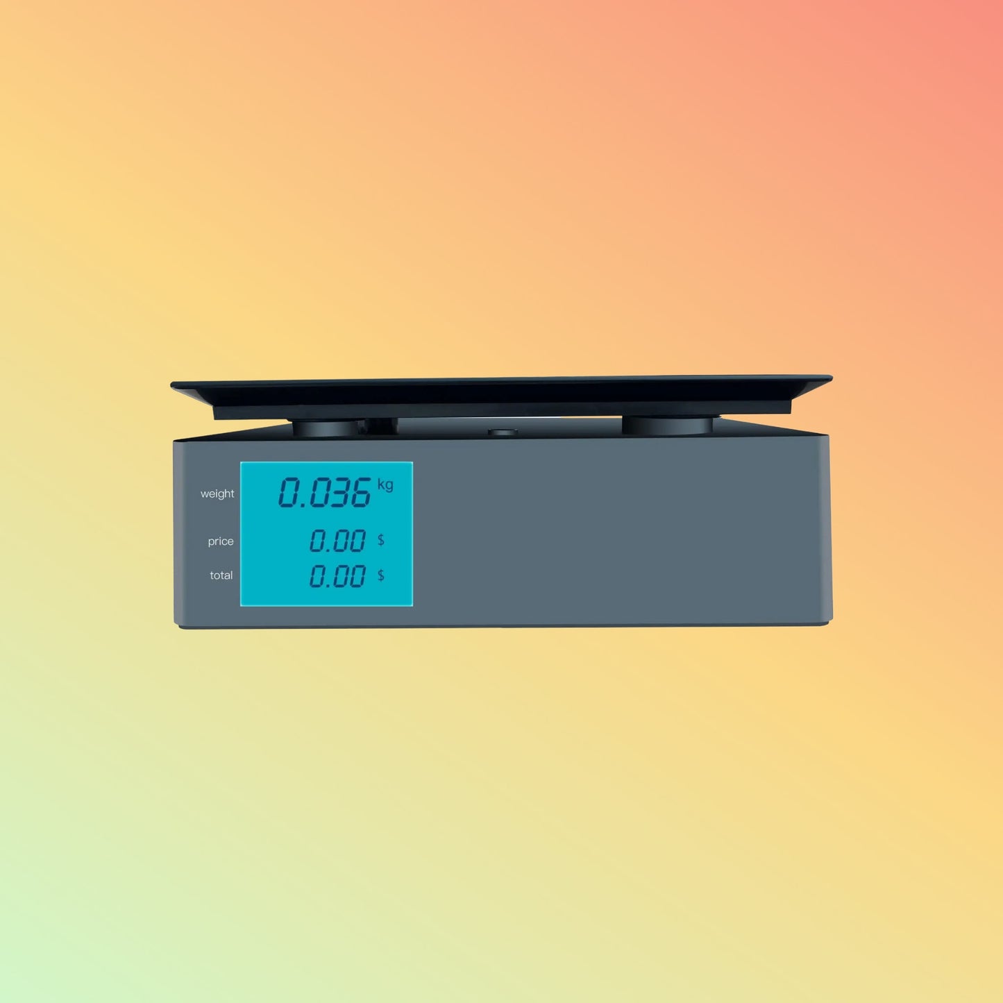 Zkscales BPT101