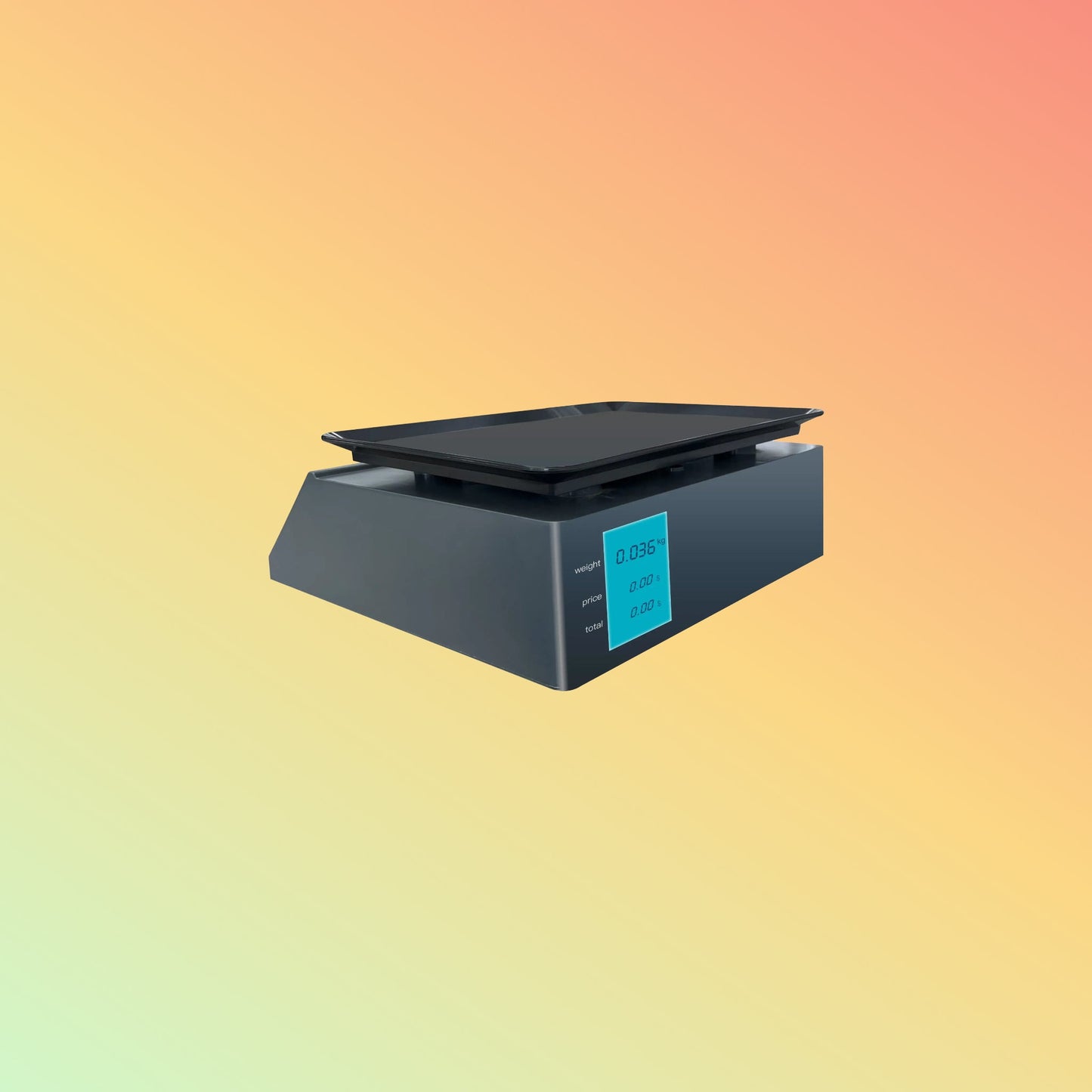 Zkscales BPT101