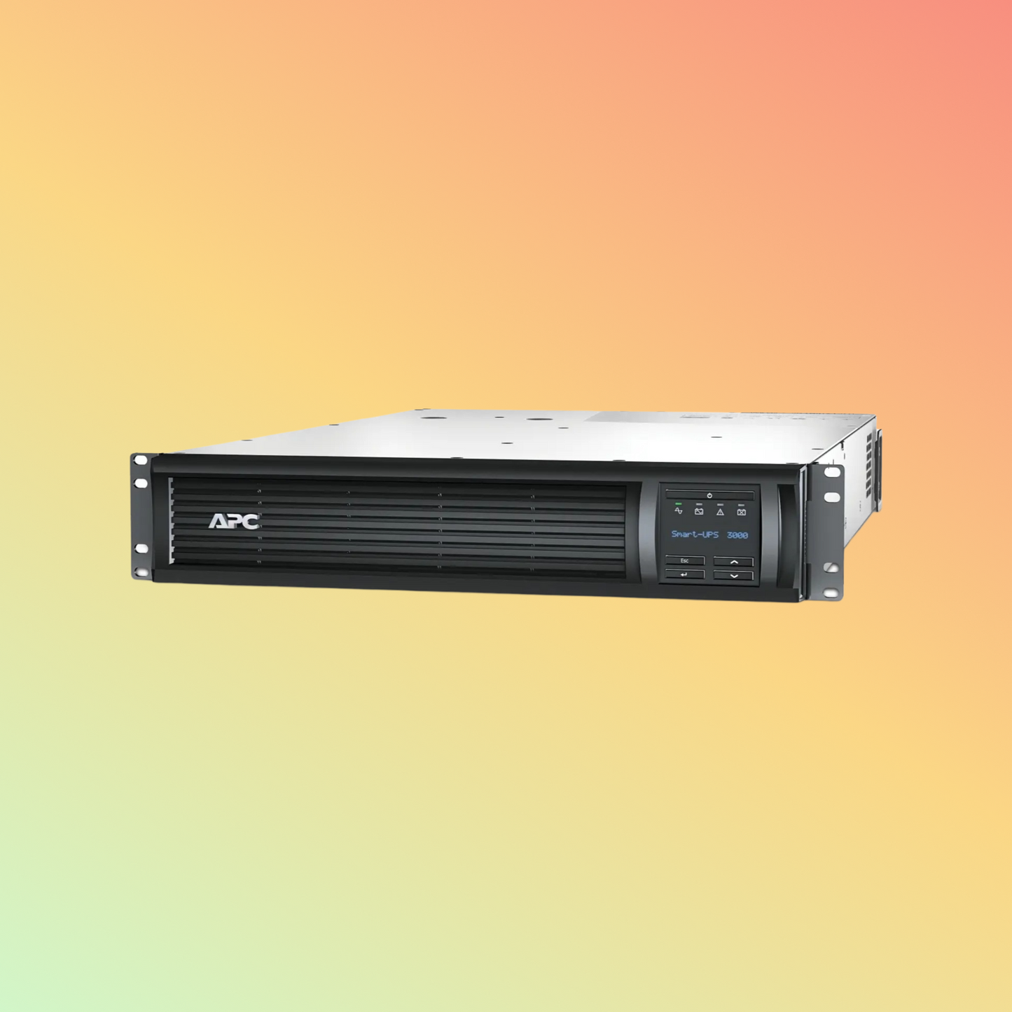 APC Smart SMT3000RMI2UC UPS - 3000VA