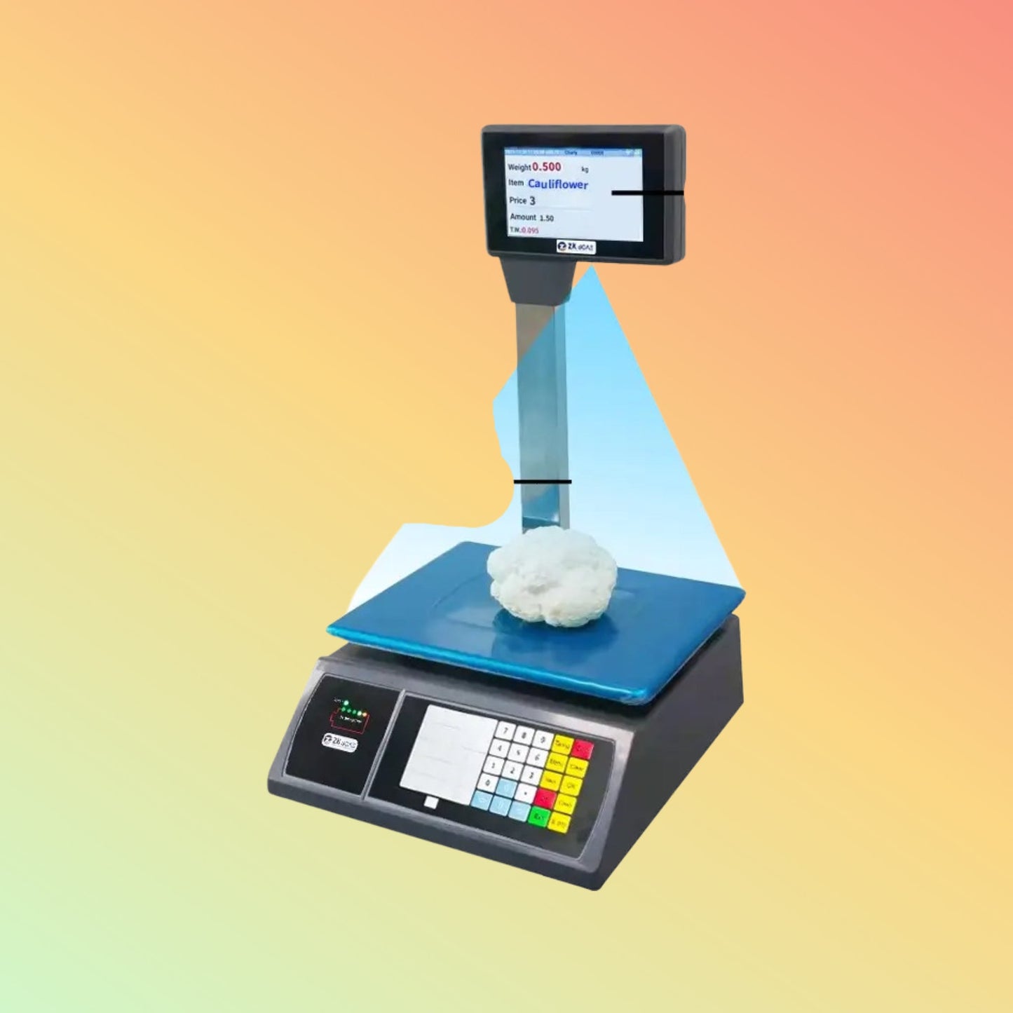Zkscales SPL305